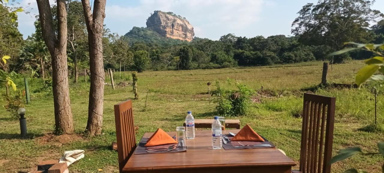 Sigiri Close-Up View Guest Sigiriya Eksteriør bilde