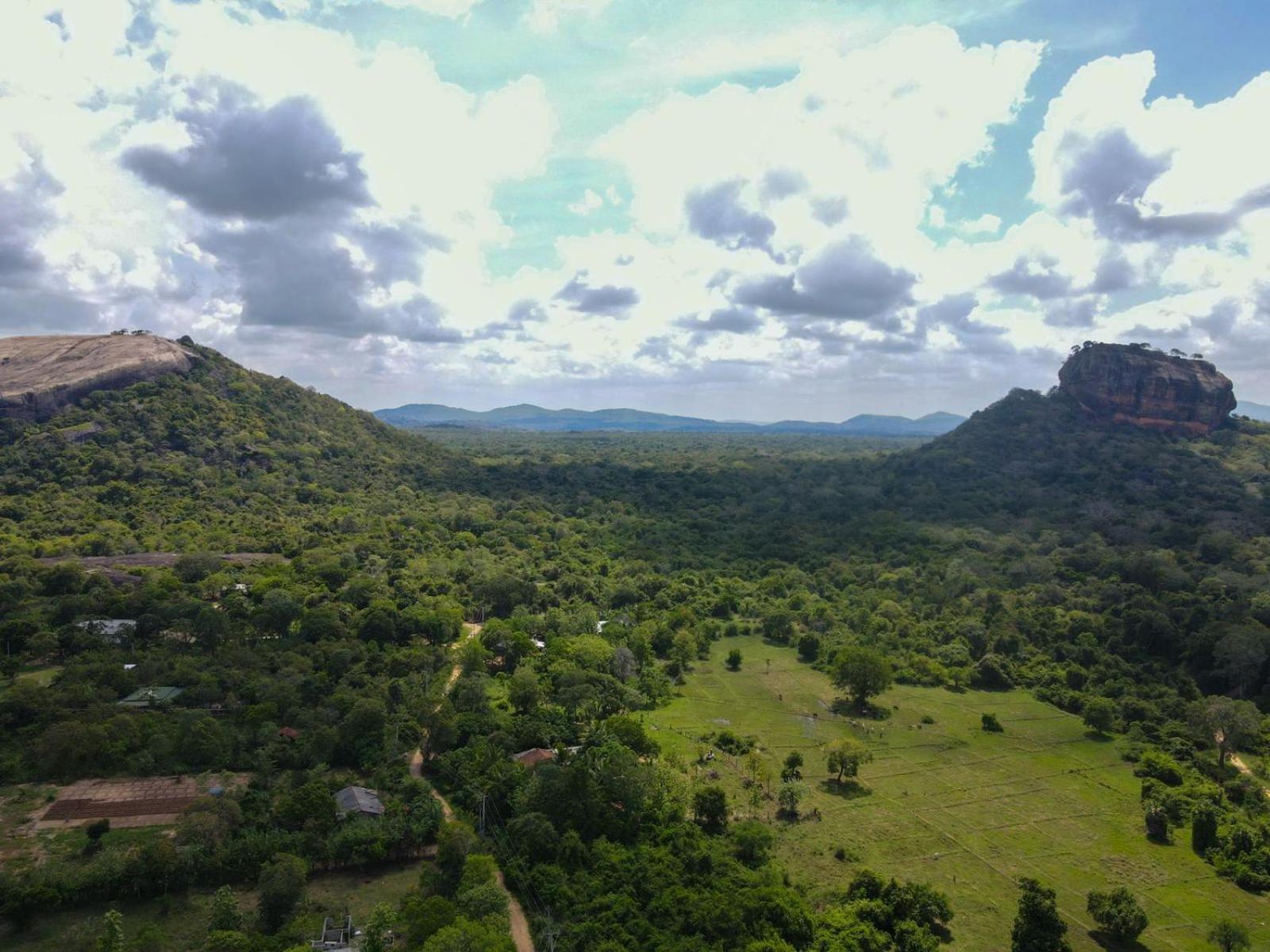 Sigiri Close-Up View Guest Sigiriya Eksteriør bilde